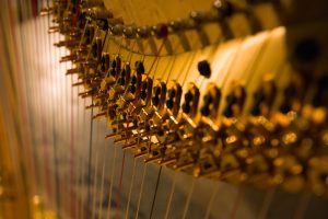 Harp