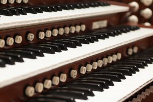 Organ