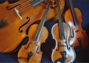 Strings